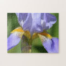 Recherche de iris photographie Violet