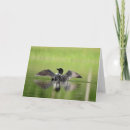 Search for loon cards Wildlife