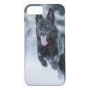 Search for wolf dog iphone cases Dogs