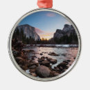 Search for domed ornaments Tree