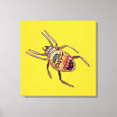 Recherche de araignée art Arachnid