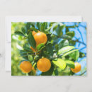 Search for fruit tree cards Citrus