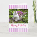 Recherche de dentelle anniversaire cartes Blanc
