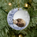 Search for ferret ornaments Wildlife