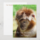 Recherche de singes invitations Animaux sauvages