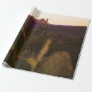 Search for sunlight wrapping paper Green