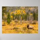 Recherche de rocky mountain national park posters Cathy