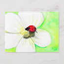 Recherche de vert rouge blanc cartes postales Fleur