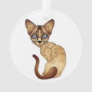 Recherche de de chat siamois ornements Chaton
