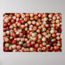 Recherche de gala posters Vintage