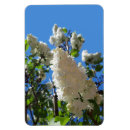 Recherche de fleurs magnets Ciel bleu