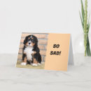 Search for miss u postcards Moved