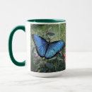 Search for butterfly mugs Blue morpho butterfly