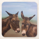 Search for donkeys coasters Party