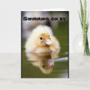 Recherche de caneton vœux cartes Photographie