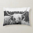Search for longhorns pillows Farmhouse
