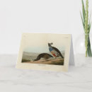 Recherche de cailles vœux cartes Illustration