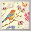 Search for birds bees posters Butterflies