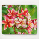 Recherche de horticulture tapis souris Fleurs