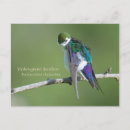 Recherche de hirondelle posters Animaux