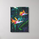 Search for bird of paradise canvas prints Green
