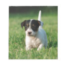 Recherche de jack russel blocsnotes Dog