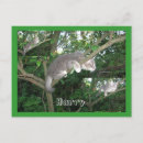 Search for cat tree postcards Cats