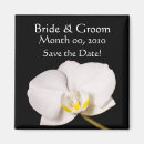 Recherche de orchidée magnets Blanc