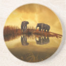 Search for elephant coasters Mammal