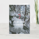 Recherche de de canne noël cartes Arbres