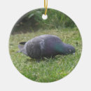 Search for pigeon ornaments Cute
