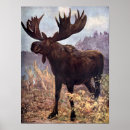 Search for moose posters Mountains