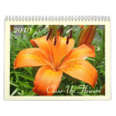 Search for close calendars Pink