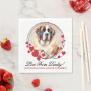Recherche de st bernard serviettes Chien
