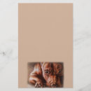 Search for dog stationery paper Pitbull