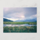 Search for sanctuary postcards Nature