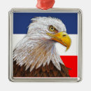Search for bald eagle ornaments America