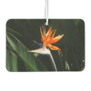 Recherche de oiseau voiture accessoires Fleur