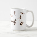 Recherche de insectes tasses Biologie