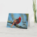 Search for cardinal thank you cards Songbird