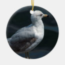 Recherche de mouettes ornements Oiseau