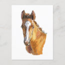Search for throw pillows postcards Animal