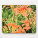 Search for tiger mousepads Flowers