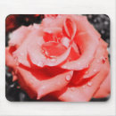 Search for chic wedding electronics Roses