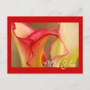 Search for calla postcards Lily