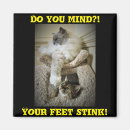 Recherche de cat magnets Funny