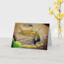 Search for moth birthday cards Insect