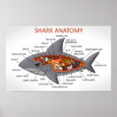 Search for anatomy chart posters White