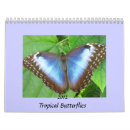 Search for kite office supplies Butterfly