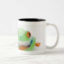Search for red eyed tree frog mugs Cold blooded